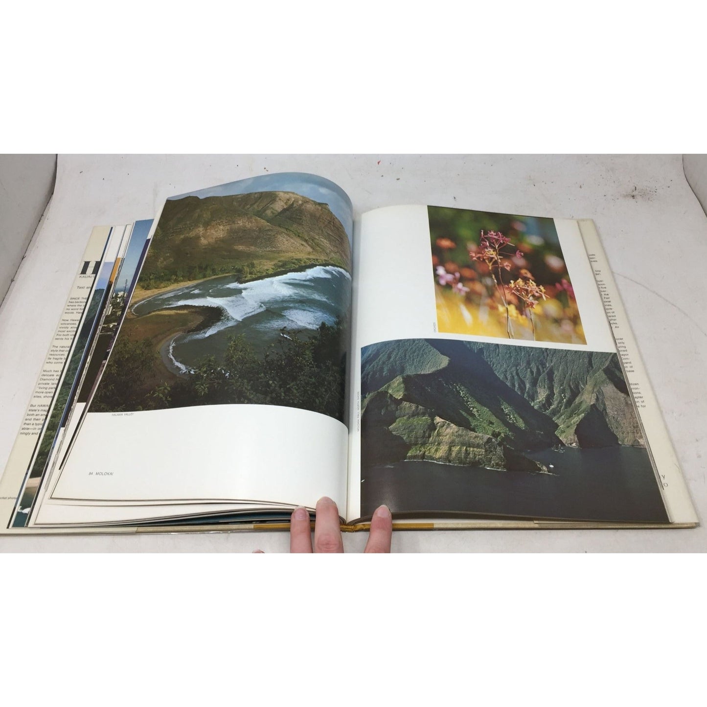 Vintage Photography Book Titled "Hawaii" A+ Stuff  A+ Stuff