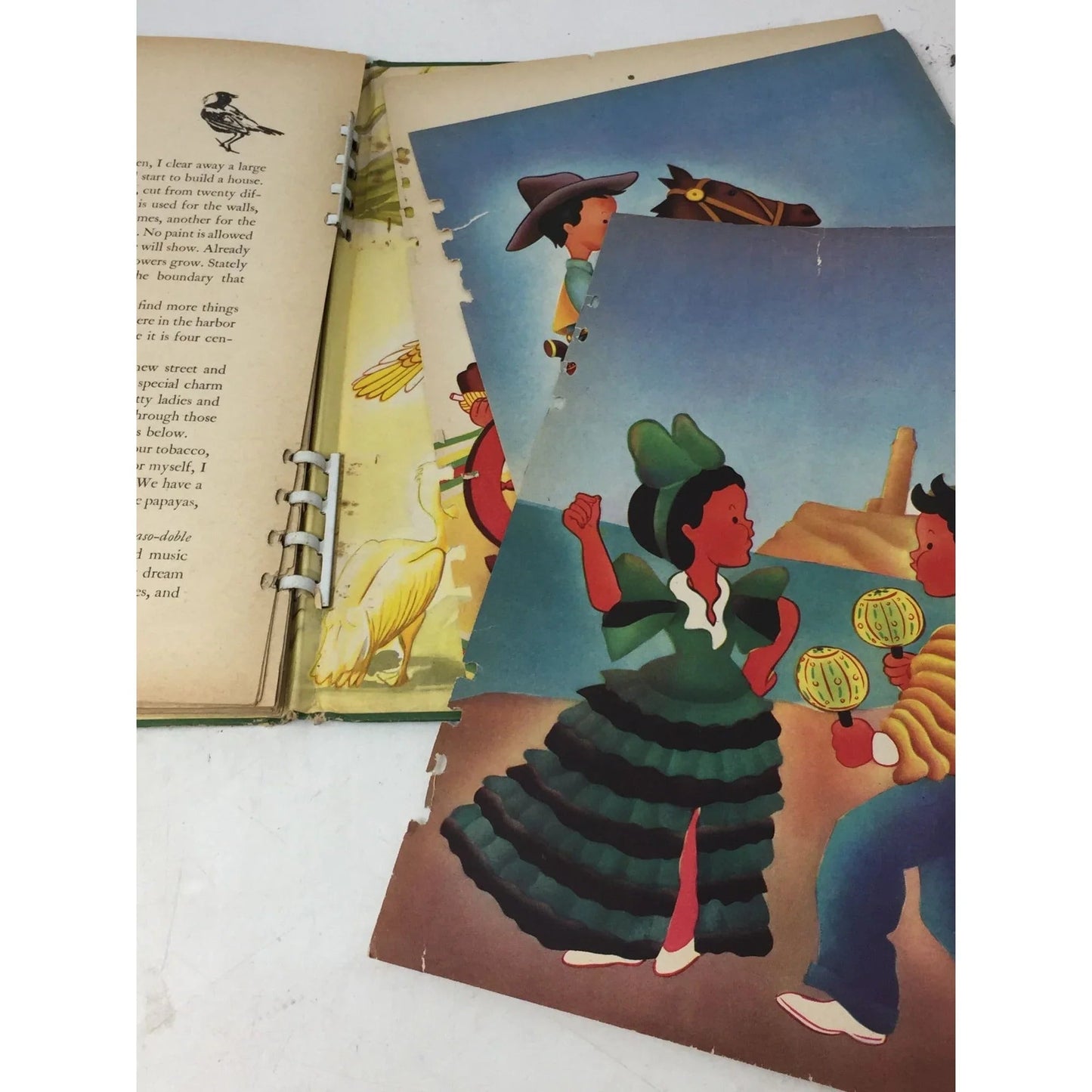 ''YOUNG FOLK OF THE AMERICAS'' BY EVA AND THOMAS LAUFER - A+ Stuff - Books - A+ Stuff