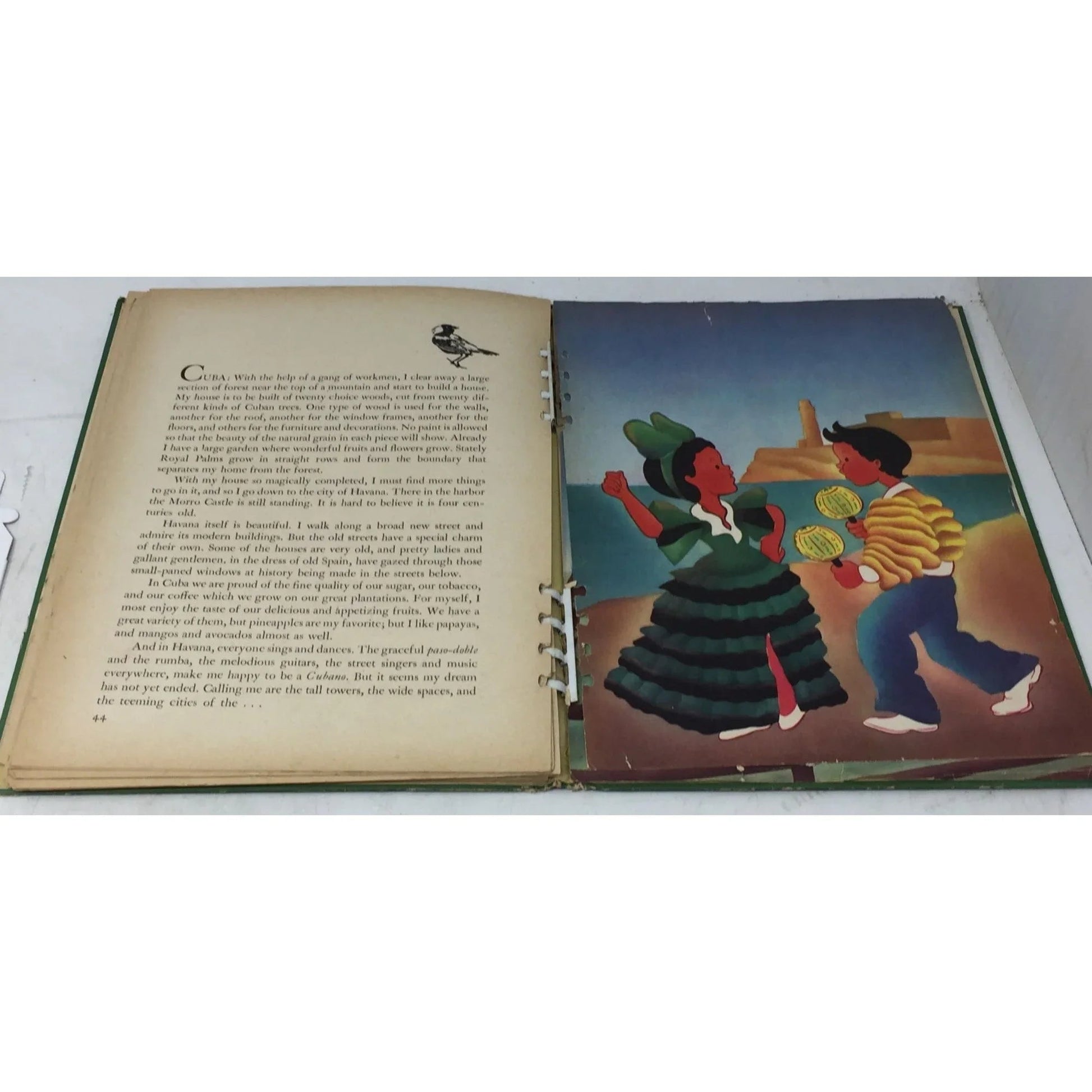 ''YOUNG FOLK OF THE AMERICAS'' BY EVA AND THOMAS LAUFER - A+ Stuff - Books - A+ Stuff