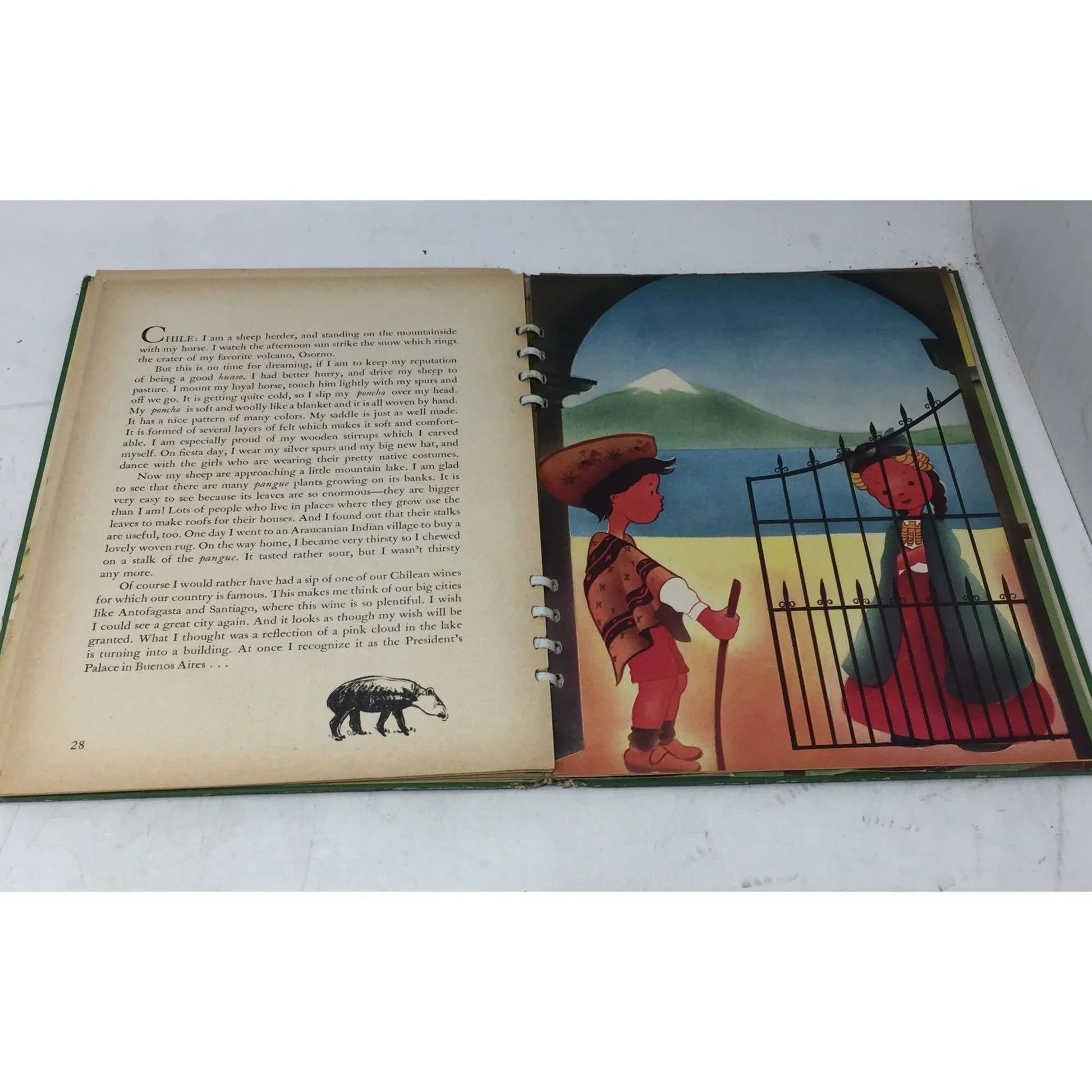 ''YOUNG FOLK OF THE AMERICAS'' BY EVA AND THOMAS LAUFER - A+ Stuff - Books - A+ Stuff