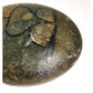 "You're Taking Me For Granite" Round Brown Rock with Design on the front - A+ Stuff - Collectibles - A+ Stuff