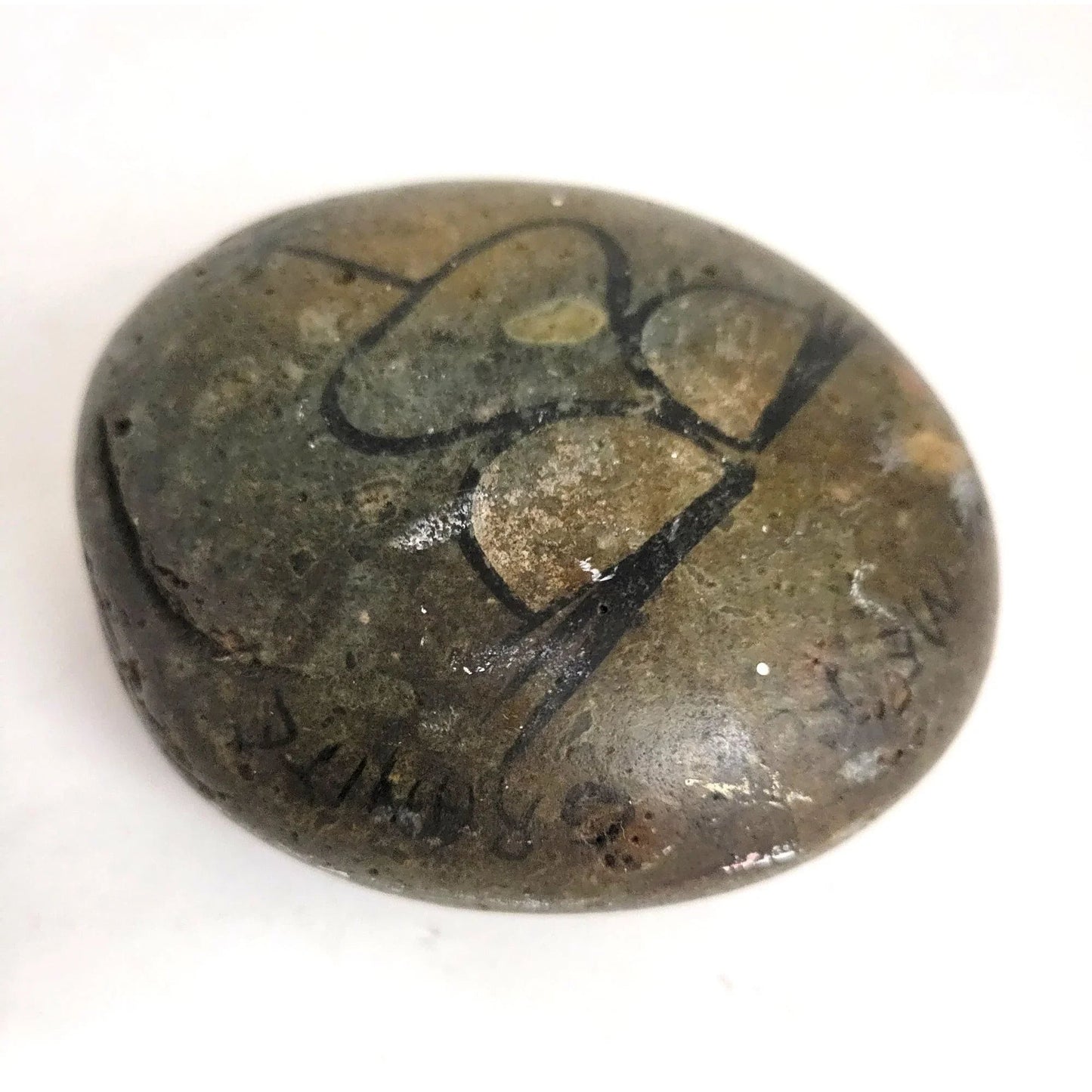 "You're Taking Me For Granite" Round Brown Rock with Design on the front - A+ Stuff - Collectibles - A+ Stuff