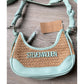 Steve Madden Bdaryll Crossbody / Shoulder bag - Frest Mint  with Round Tag Pouch NWT