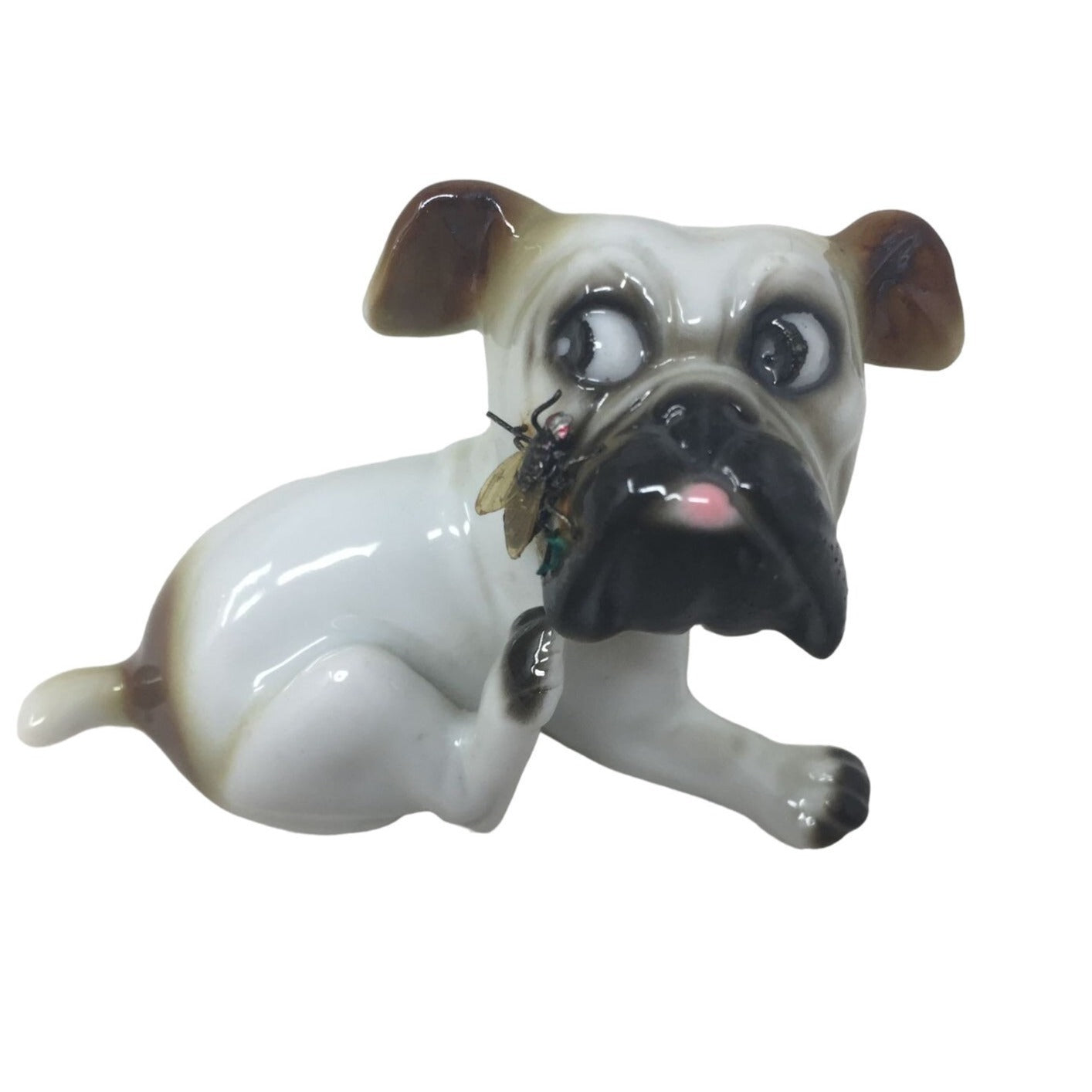 Cute vintage Puppy Scratching a Fly on his nose / muzzle - Great retro look!