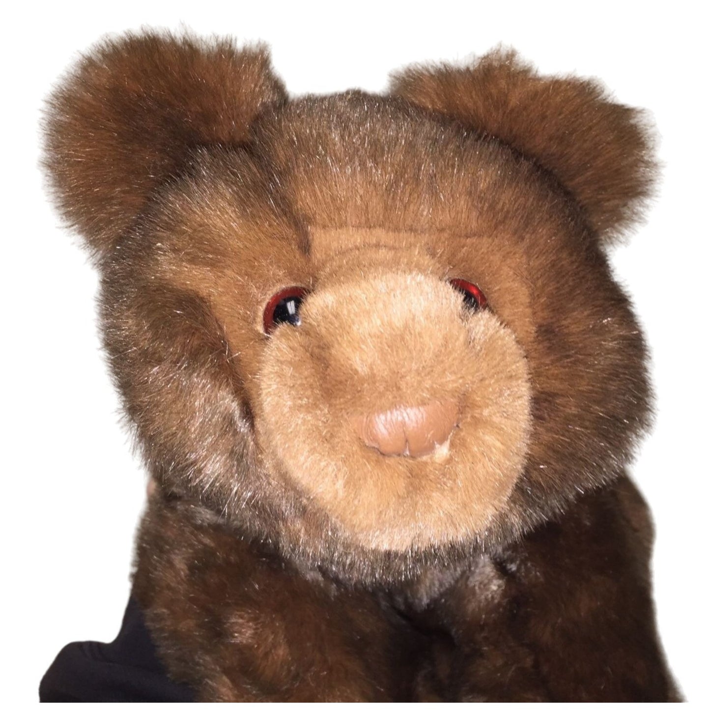 Gund Collector's Classic Brown Bear - Walks on All Fours  - 14" Long - Realistic Fur Collectible Plush Bear