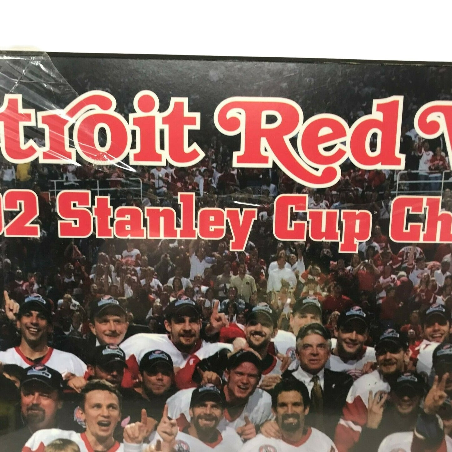 Detroit RED WINGS 2002 Stanley Cup CHAMPIONS Mounted Hockey Photo
