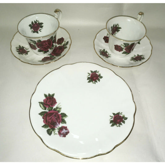 Rose Tea Cup/Saucer China Set - Germany Hartporzellan Rheinpfalz