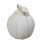 Small Ceramic Bisque Pumpkin - Paint it Yourself - Nice Detailing on leaves - Fall / Halloween Decor A+ Stuff  A+ Stuff