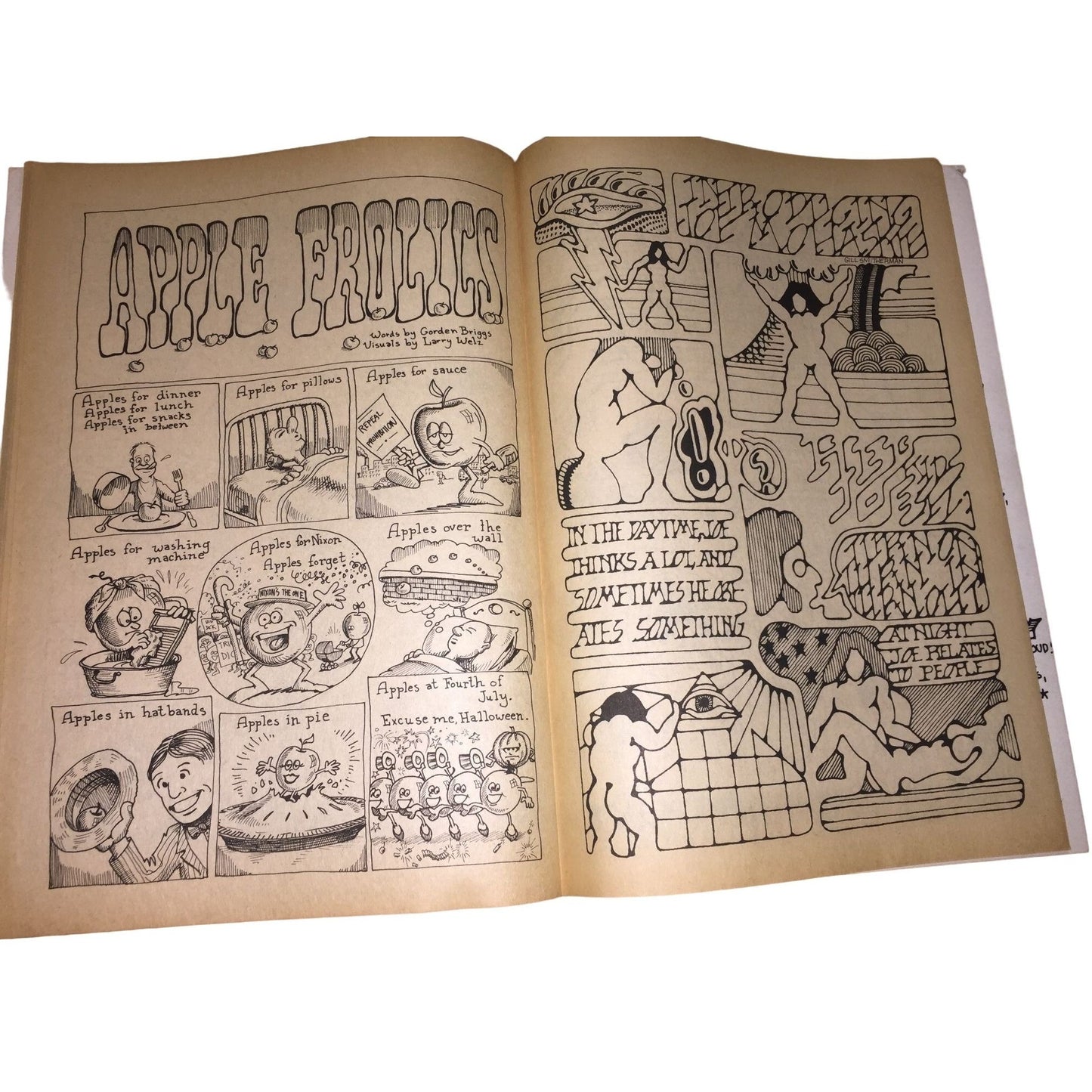 Yellow Dog Comics UndergrounD Comix Vol. 2 No. 13 Li'l Cute, Absorbine Jr. Skutch, THe Daily Duck