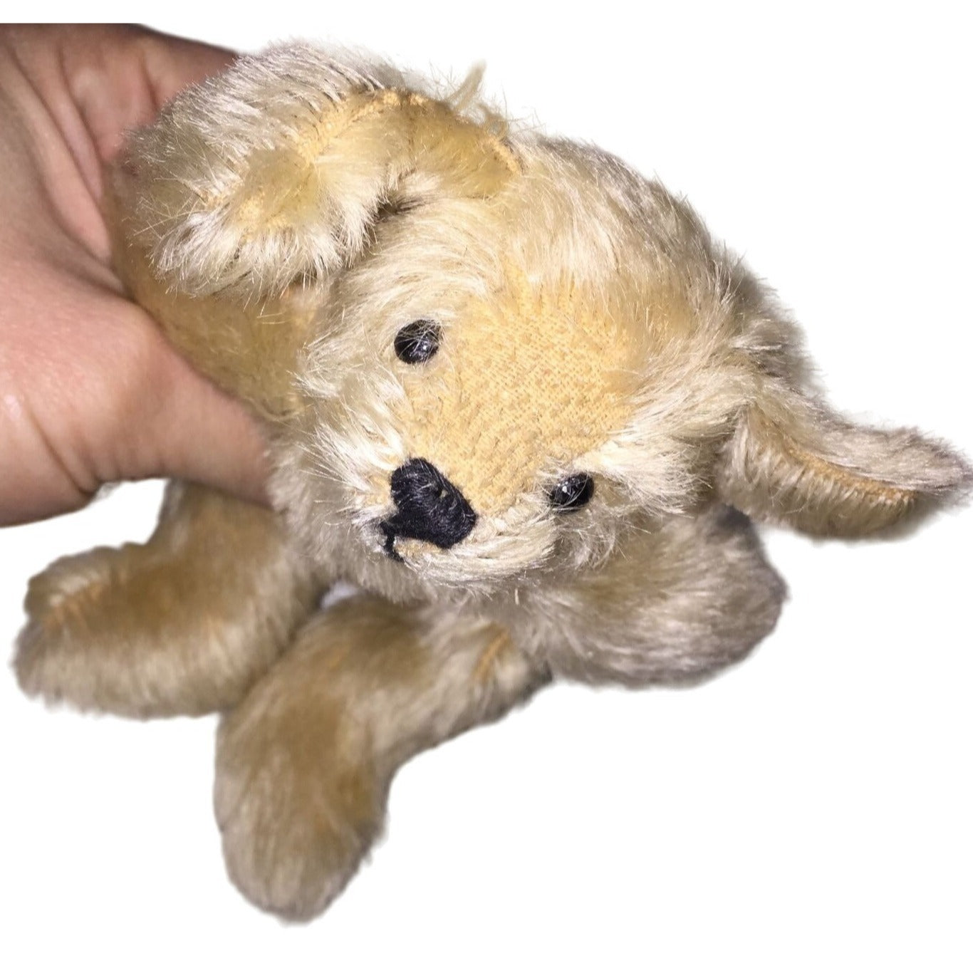 Collectible Doll Companion Puppy - Spaniel Breed I think - Cute puppy for your Doll