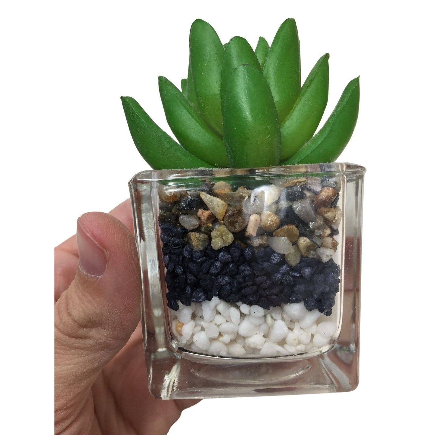 Mini Succulent in jar (faux) with dirt and rock in planter - small 3..25" tall