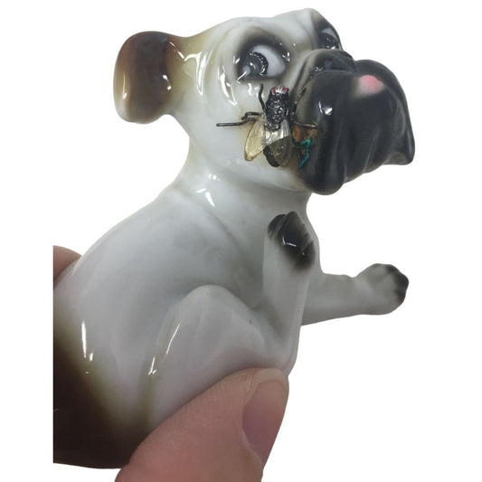 Cute vintage Puppy Scratching a Fly on his nose / muzzle - Great retro look!