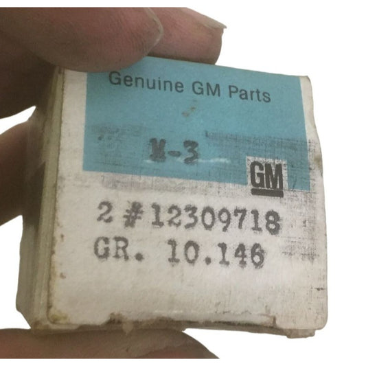 Genuine  NOS GM vintage Auto  GM 12309718 - PIN (w clip wsw- black)  GR 10.146 - Discontinued General Motors OEM Part