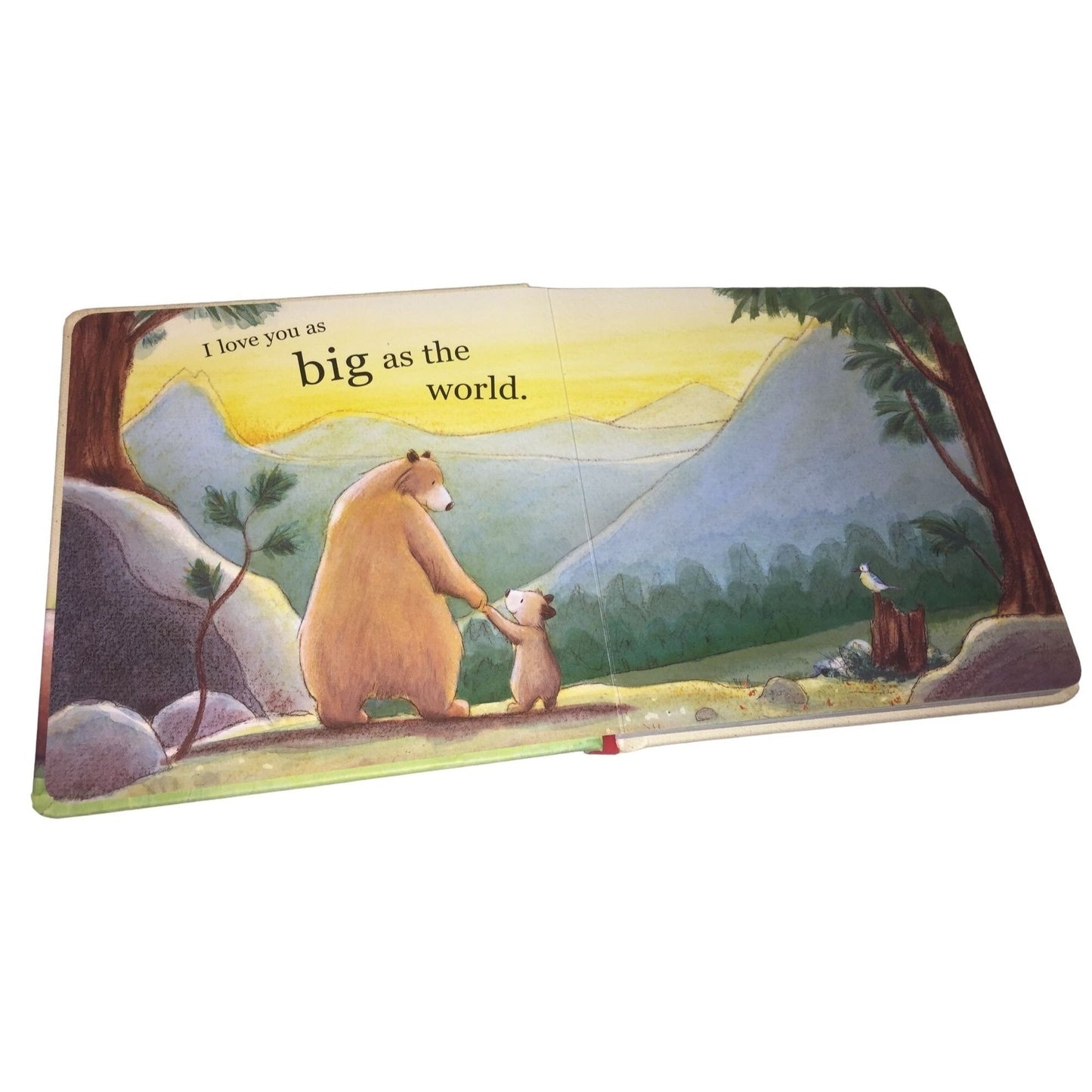 I Love You as Big as the World by David Van Buren Tim Warnes - Children's Book