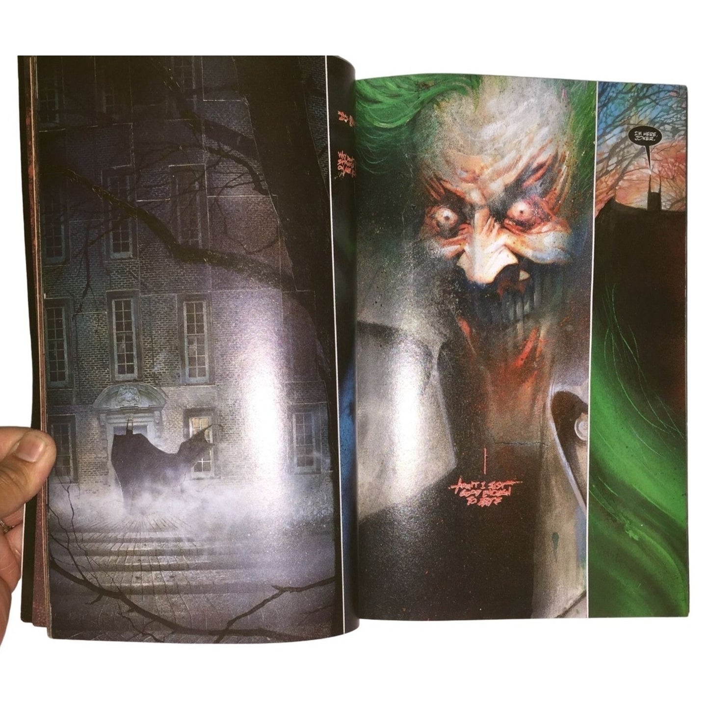 Batman Arkham Asylum Graphic Novel by Grant Morrison - Dave Mckean -