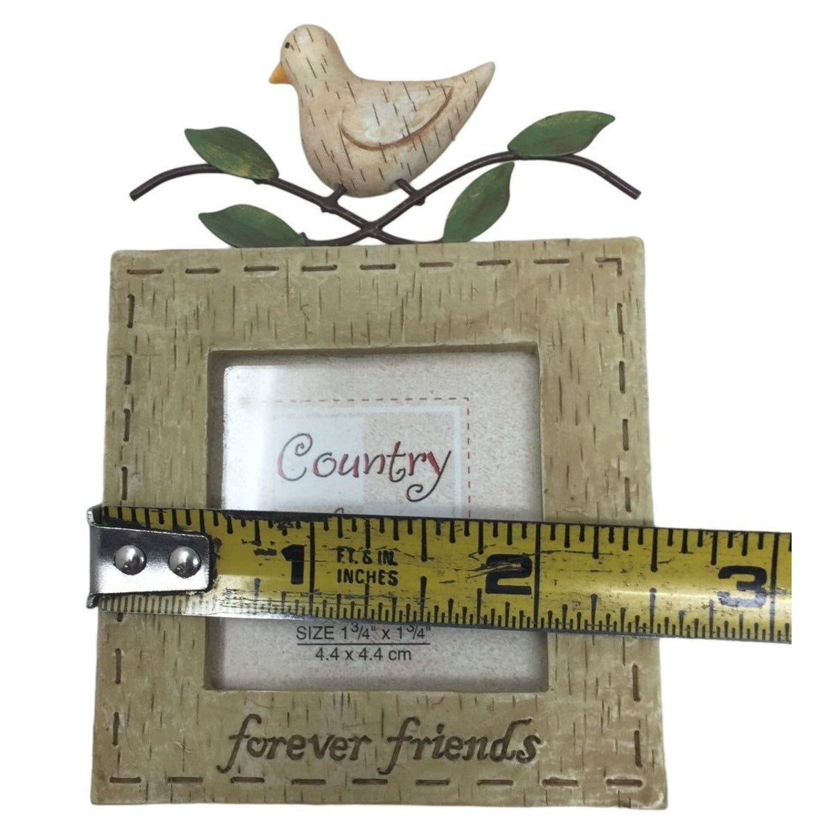 Country Gatherings "Forever Friends" BIrd on Photo Frame 1.75" Square Photo