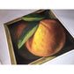 Peach and Pear Plates  CIC Fruit Gallery Jay Mercado Dessert Plates Certified International  A+ Stuff Plates