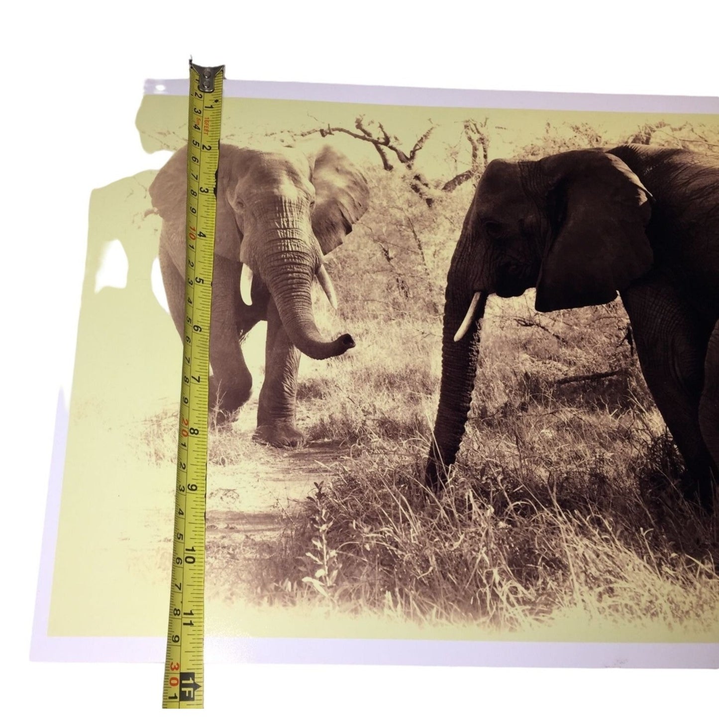 Beautiful Sepia Tone Elephant Photo Print -  Adult and Juvenile Elephant 16 x 11.5 Wildlife Africa Photography