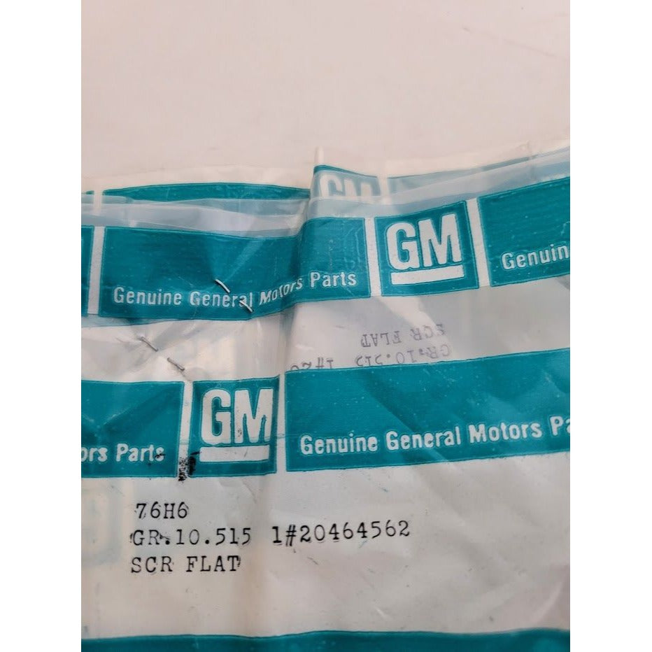 Genuine GM Part - No 20464562 - SCR FLAT - Flat Screw - B532 - new in package - vintage discontinued General Motors Parts - Vintage GM