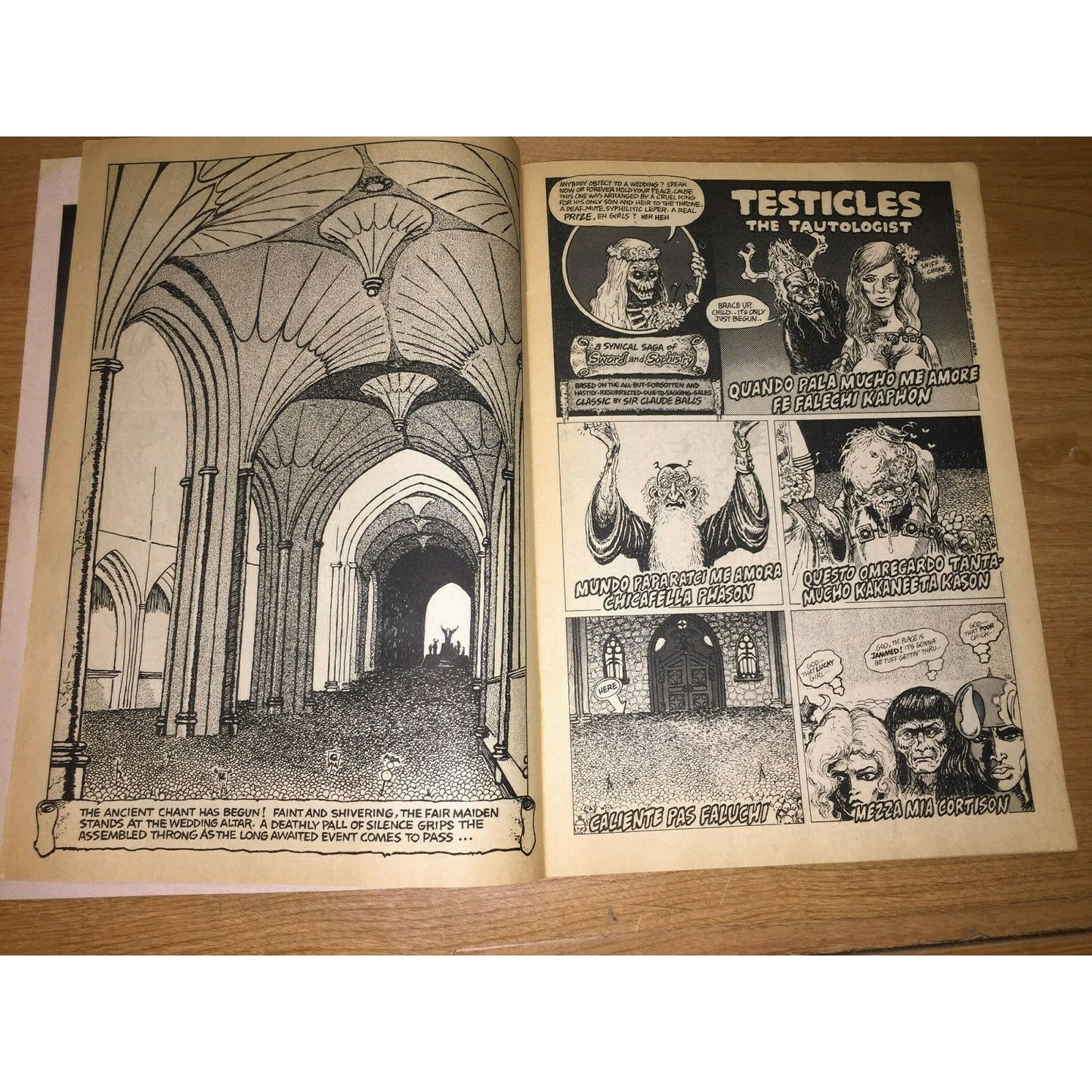 SKULL Comics No. 3 1971 Last Gasp UNDERGROUND COMIC Eco-Funnies