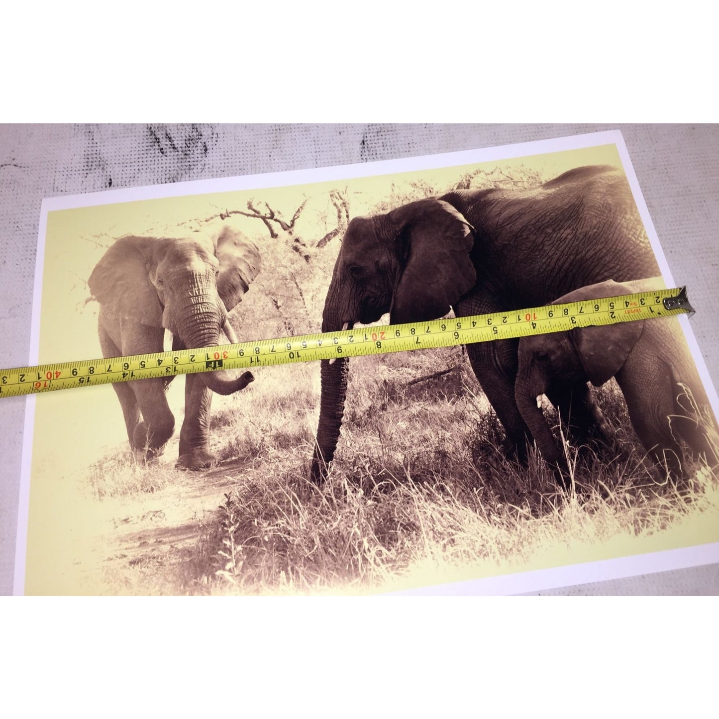 Beautiful Sepia Tone Elephant Photo Print -  Adult and Juvenile Elephant 16 x 11.5 Wildlife Africa Photography