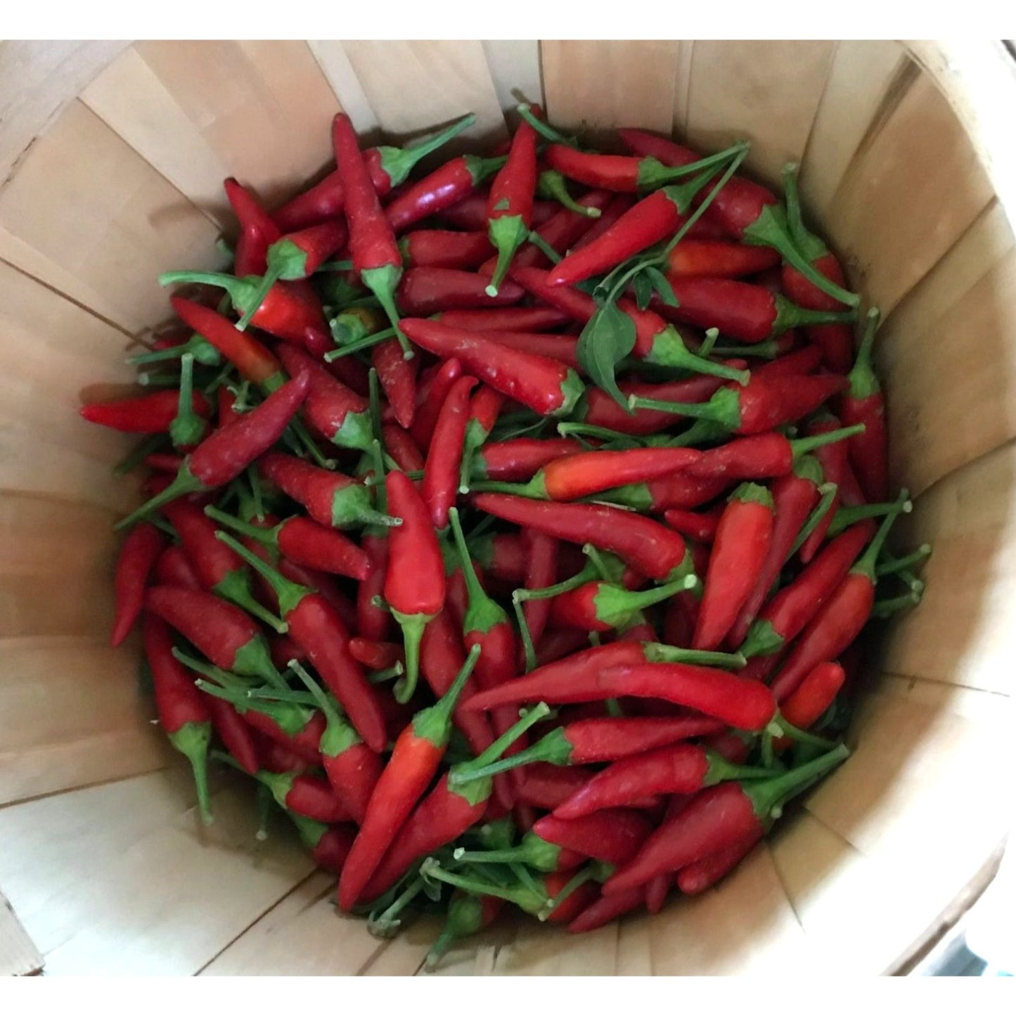 Dried and crushed Red Chili peppers to add a kick!  No other ingredients.