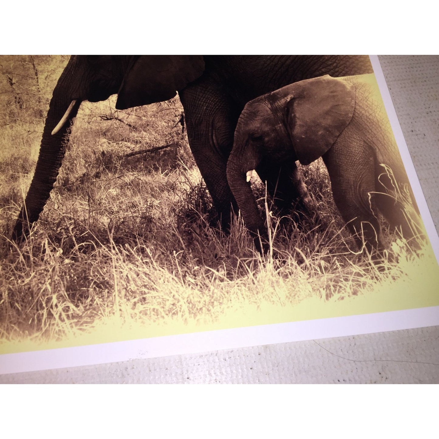 Beautiful Sepia Tone Elephant Photo Print -  Adult and Juvenile Elephant 16 x 11.5 Wildlife Africa Photography